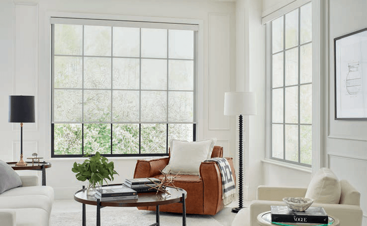 Light roller shades with trees visible through the fabric