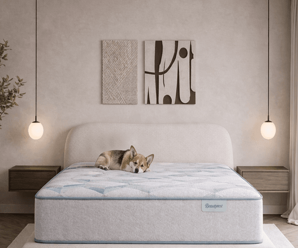 Mattress deals for 5-star sleep
