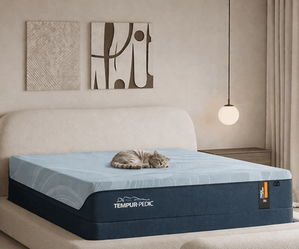 Mattress deals for 5-star sleep