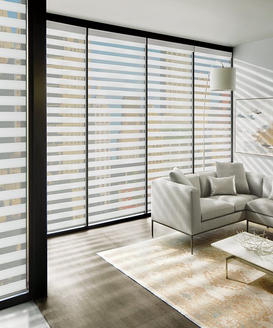 Zebra Blinds