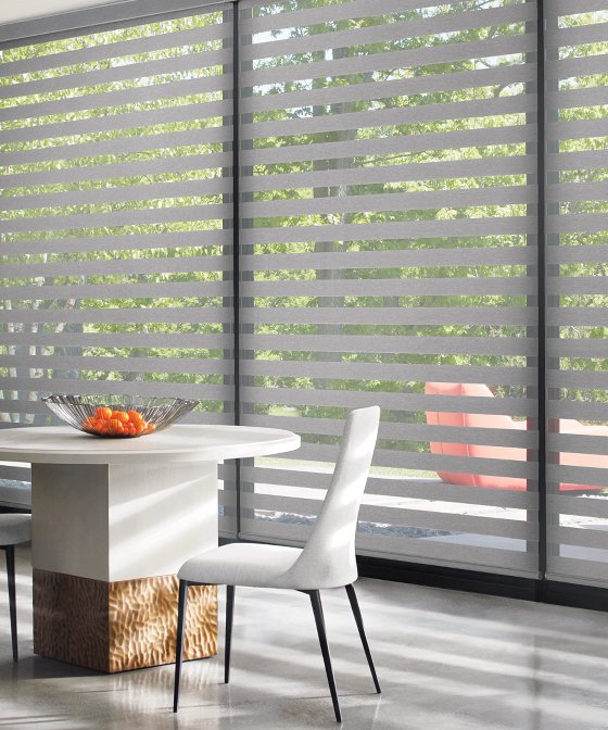 Zebra Blinds