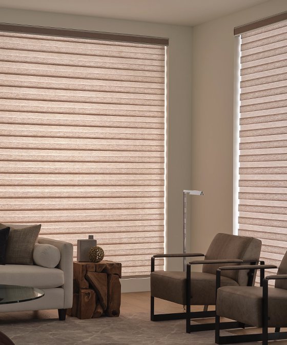 Zebra Blinds