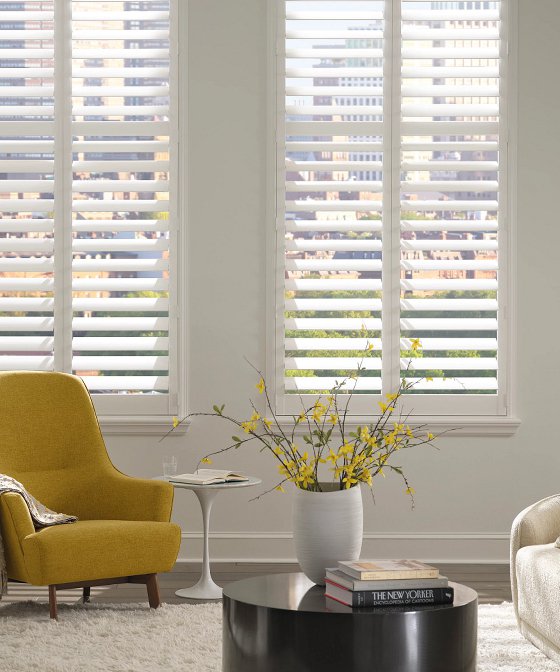 Vinyl Shutters