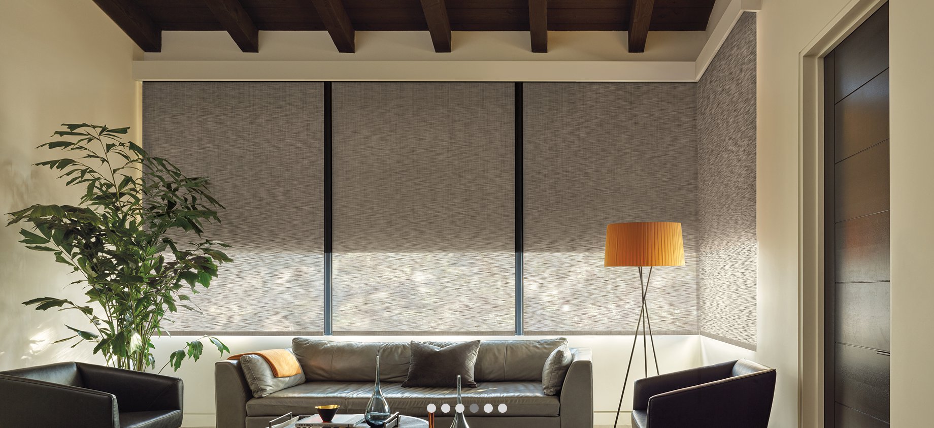 Designer Roller Blinds