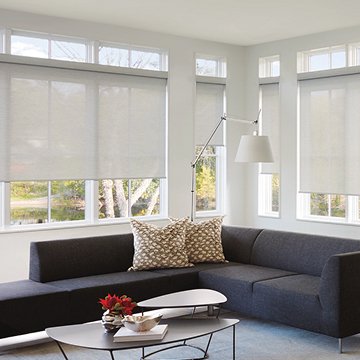 Designer screen shades
