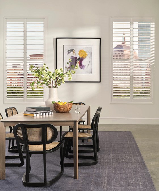 Vinyl Shutters